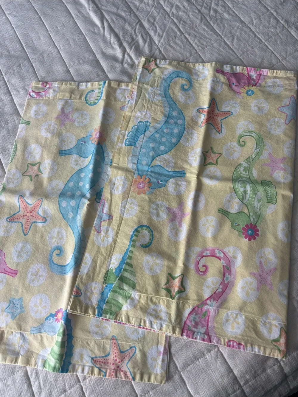 Pottery Barn Kids enchanting 100%